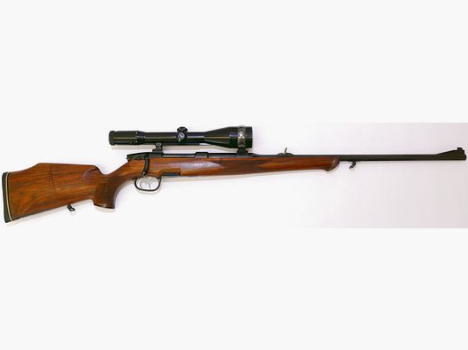 Steyr Octogonal 5,6x61SE Fusils à répétition