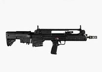 HS VHS-2S Bullpup Sonder-Edition SPORT