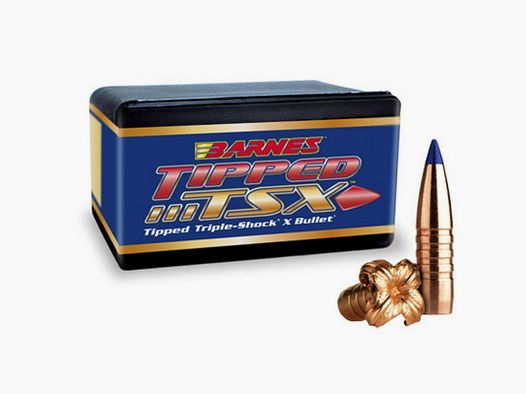 BARNES BULLE TTSX CAL 338MM GR 225