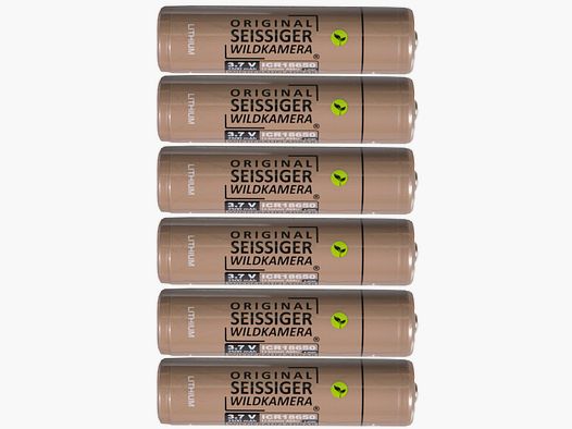 Zestig Li-Ion Batterijen 6 Stuks