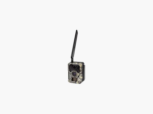 Camera Trap Num'axes PIE1078