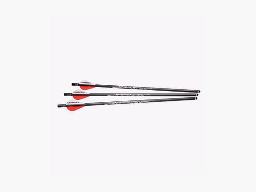 PACK VAN 3 PIJLEN VOOR UMAREX AIRJAVELIN MET FIELD TIP