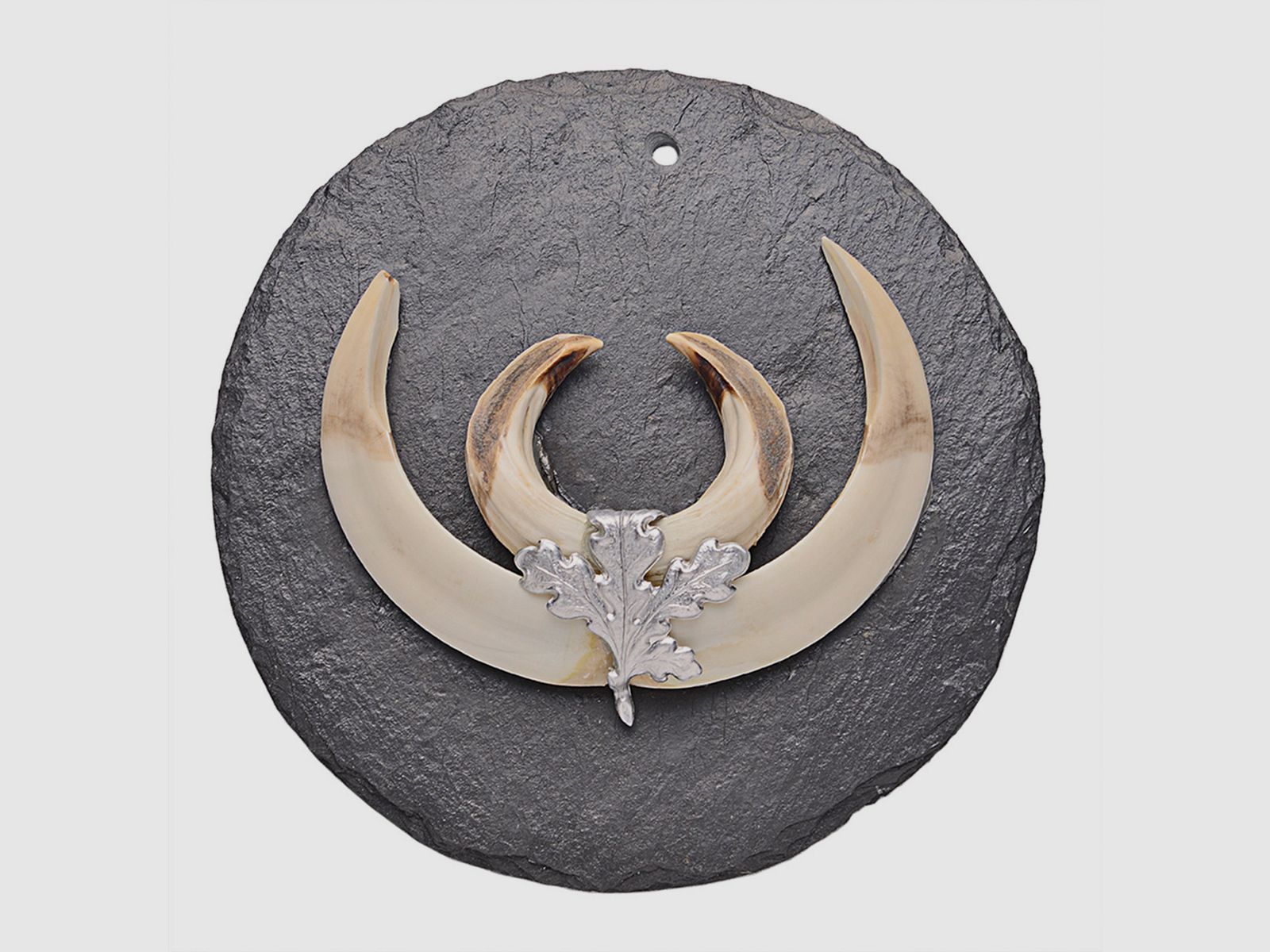 Pardur Trophäenschiefer Keilerscheibe, rund