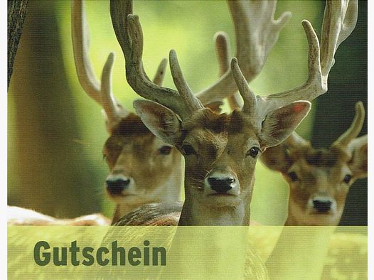 Gutschein Waffen Wiegand per Versand