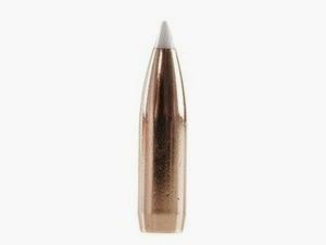 Geschosse Kal. 8mm-200. Spitzer Nosler Accubond 50 Stk.