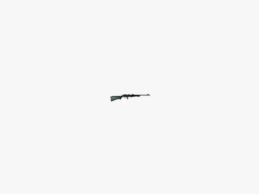 ROSSI 8122 CBC carabine 21" cal. 22 LR