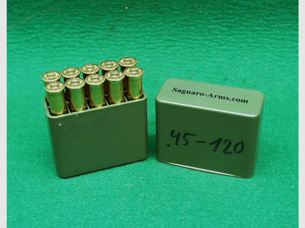 Saguaro Hülsen 45-120