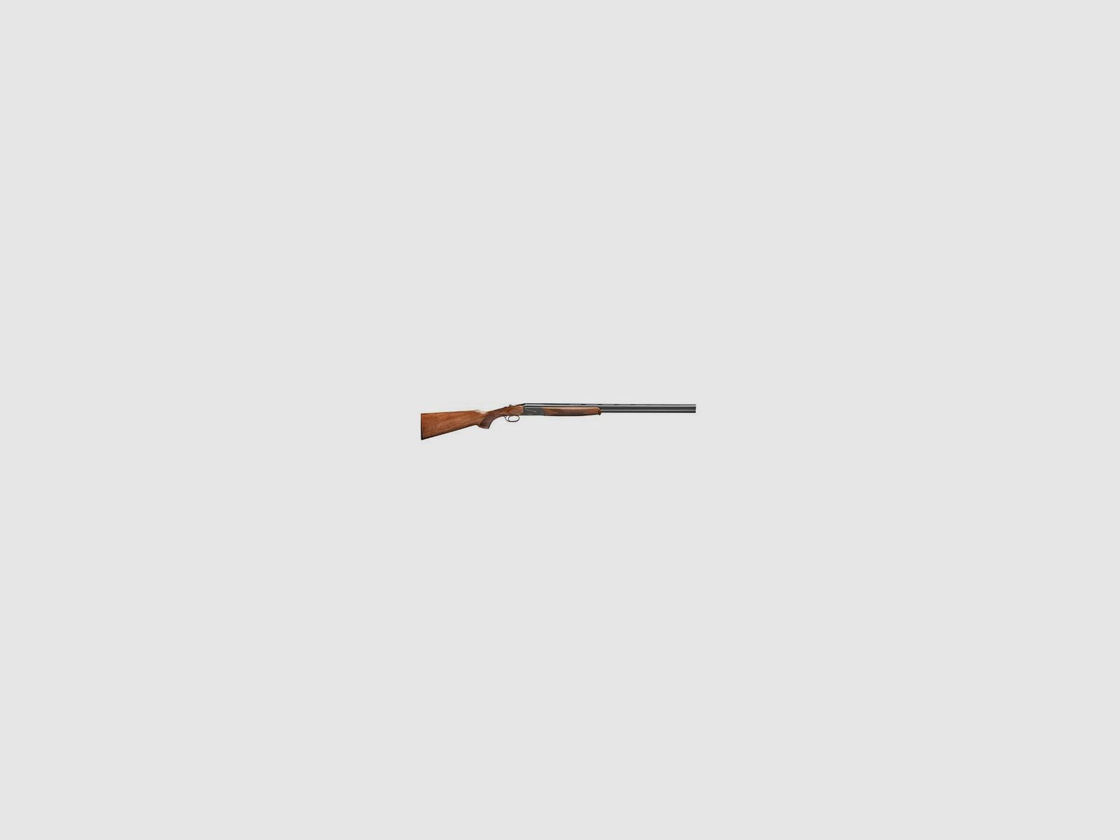 Rizzini BR110
