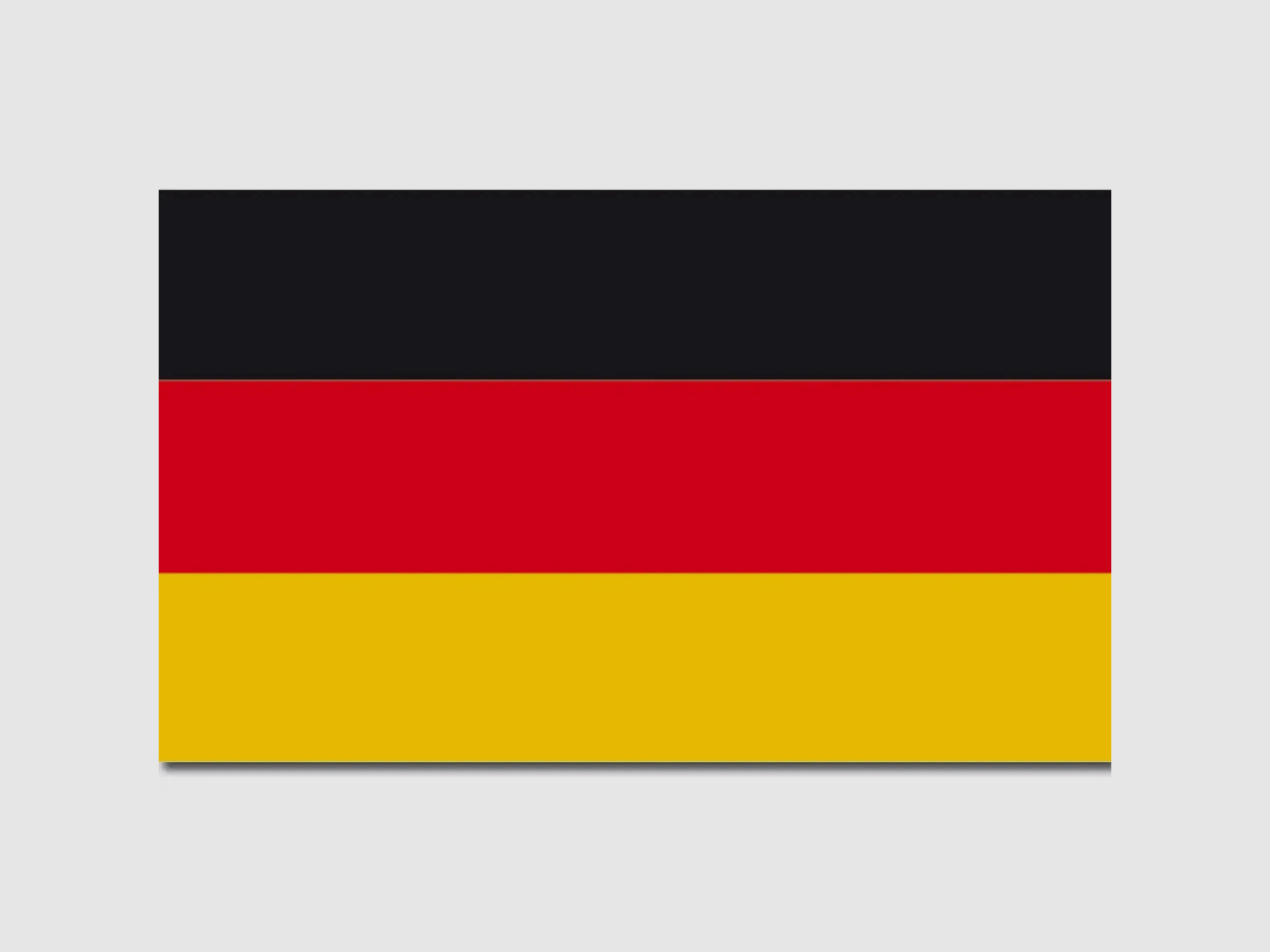 Diverse bandiere Mil-Tec Germania