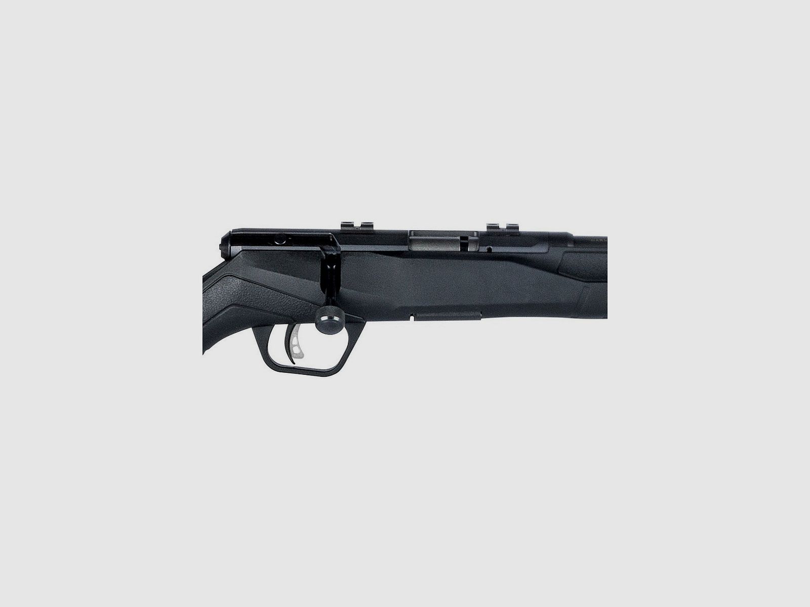 Fusil à verrou SAVAGE B17 F – 17 HMR, image 4 sur 5