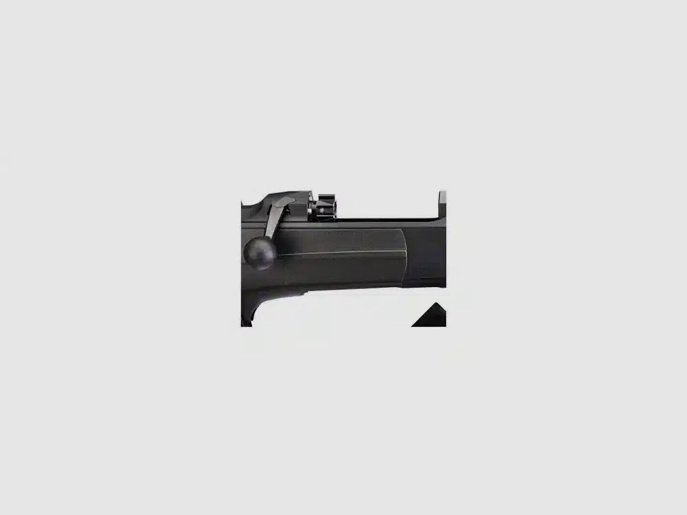 Dentler DR21 with basic rail Vario