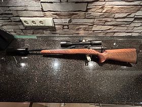 Steel Action HS .308 Win. Inkl. Hausken Schalldämpfer