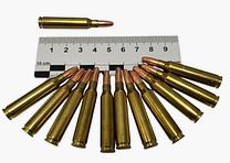 12 St. Dekopatronen – Kaliber 5,56x45 NATO / .223 Remington