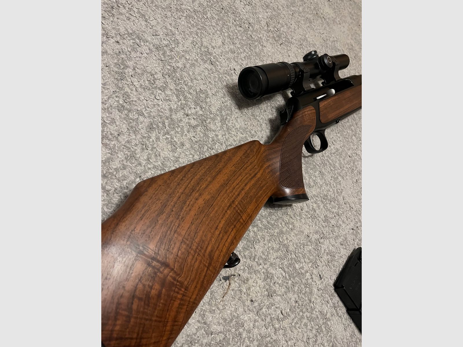 Sauer 303 
