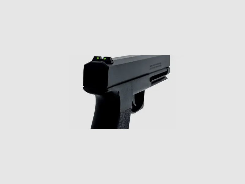 Vesta PDW50 Sentinel Defense .50, afbeelding 17 van 18