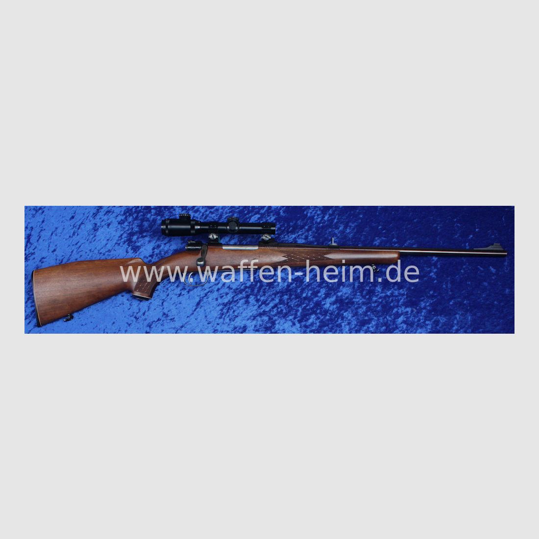 Jürgen Wolf Leonberg M 98