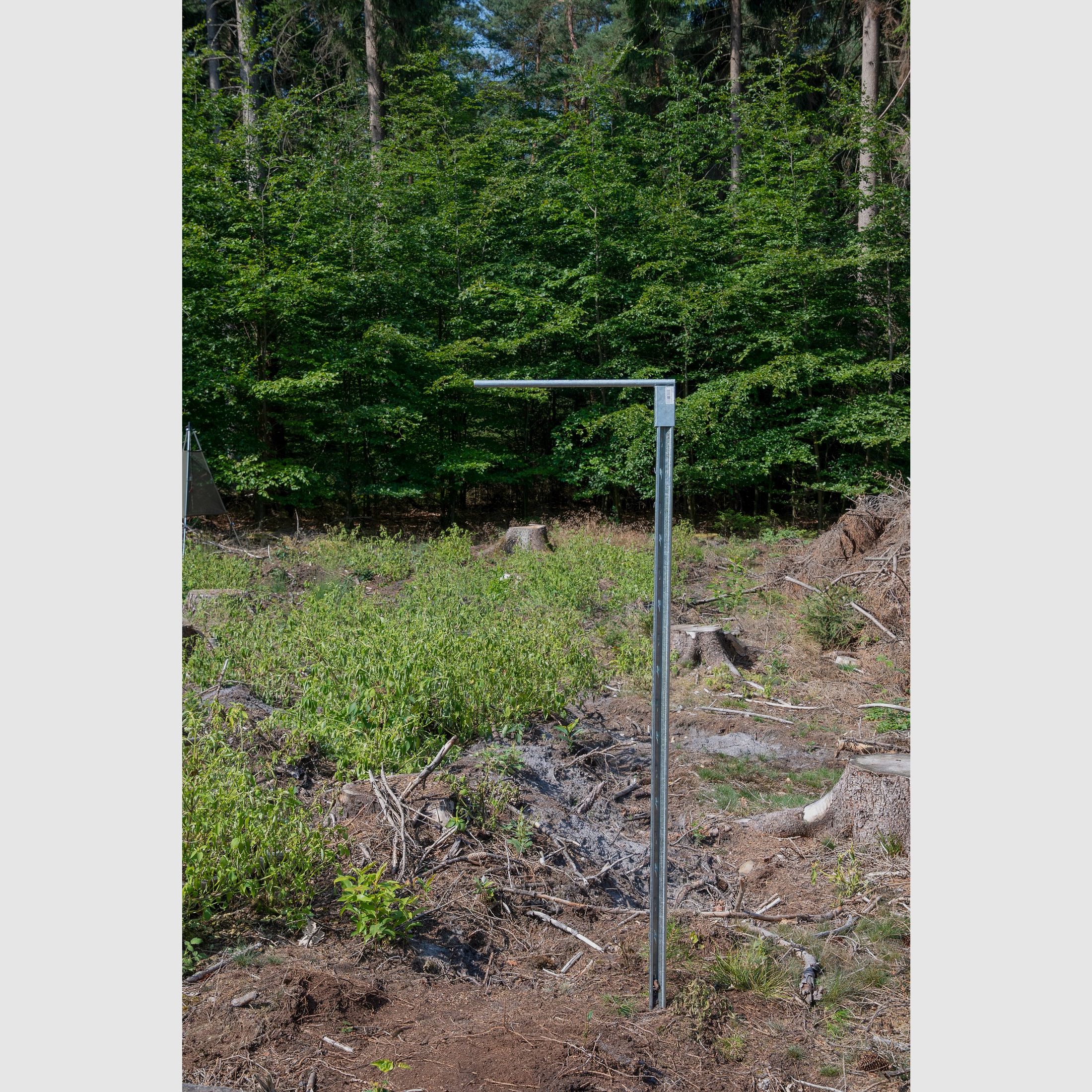 Single trap stand for bark beetle slot traps