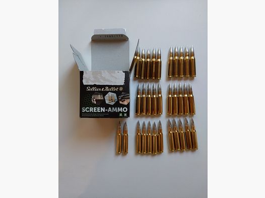 .308Win Screen Ammo munición de práctica sin plomo, 32 cartuchos
