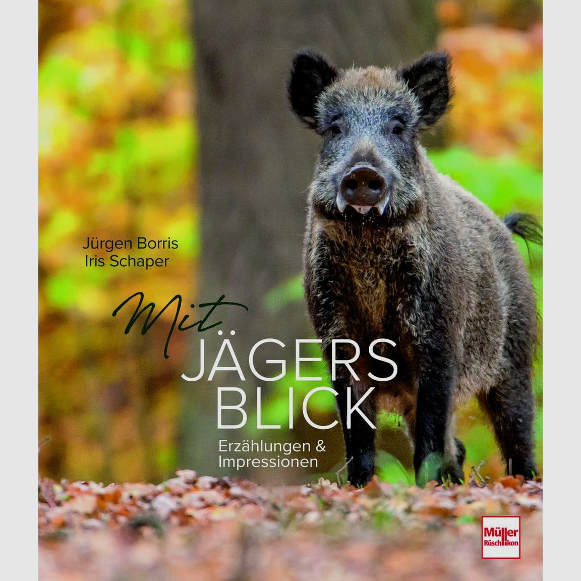 Mit Jägers Blick: Erzählungen und Impressionen