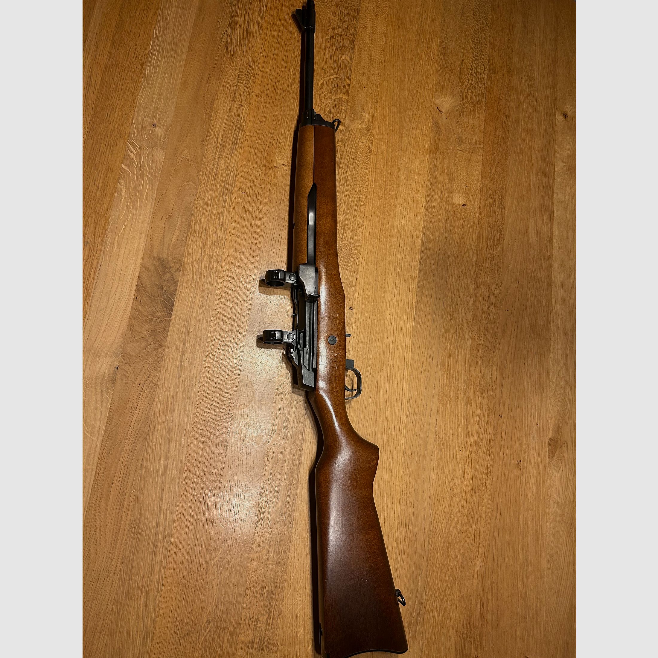 Ruger mini 14