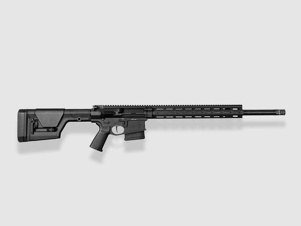DAR-10 Target Rifle | AR15 – 22″