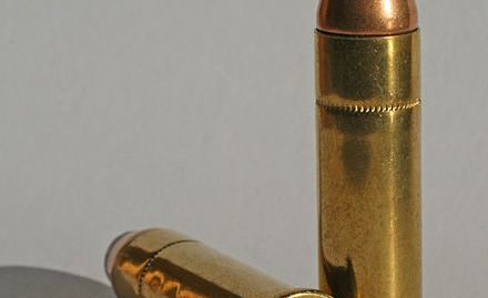 Kaliber .357 Holland
