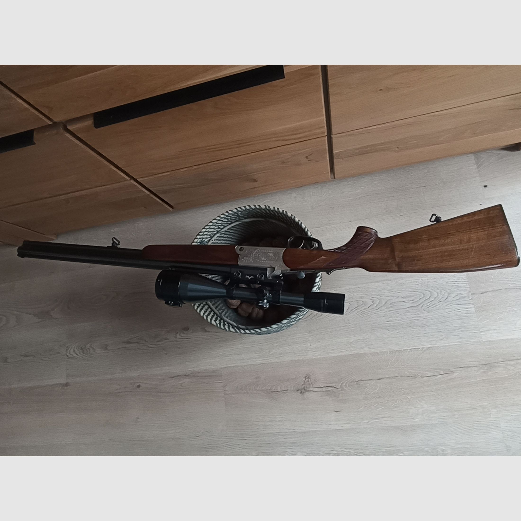 Blaser es 67
