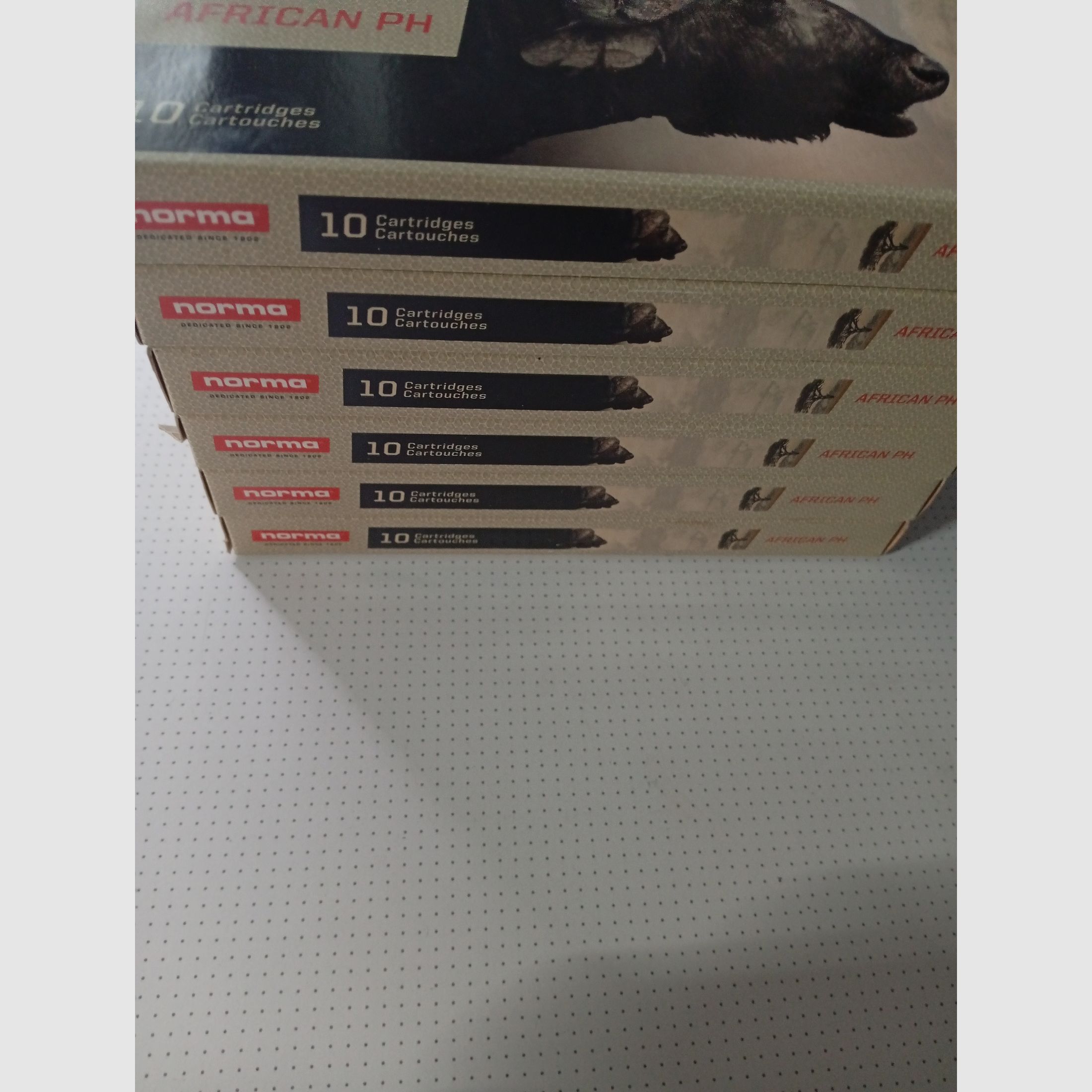 .375 H&H Mag African PH 
