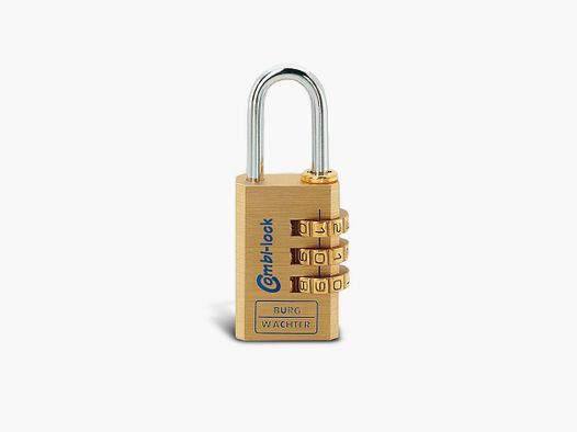 Padlock/dial lock