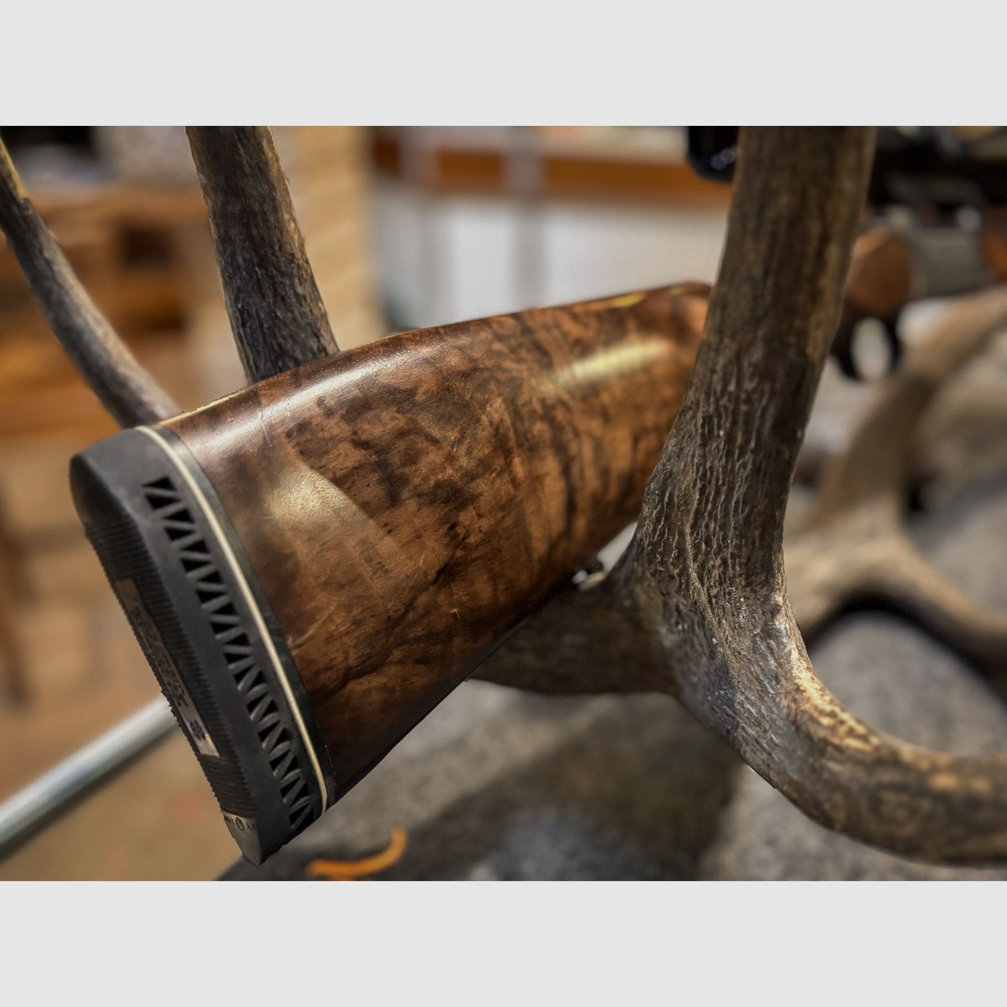 Blaser K95 Stutzen mit Wechsellauf 