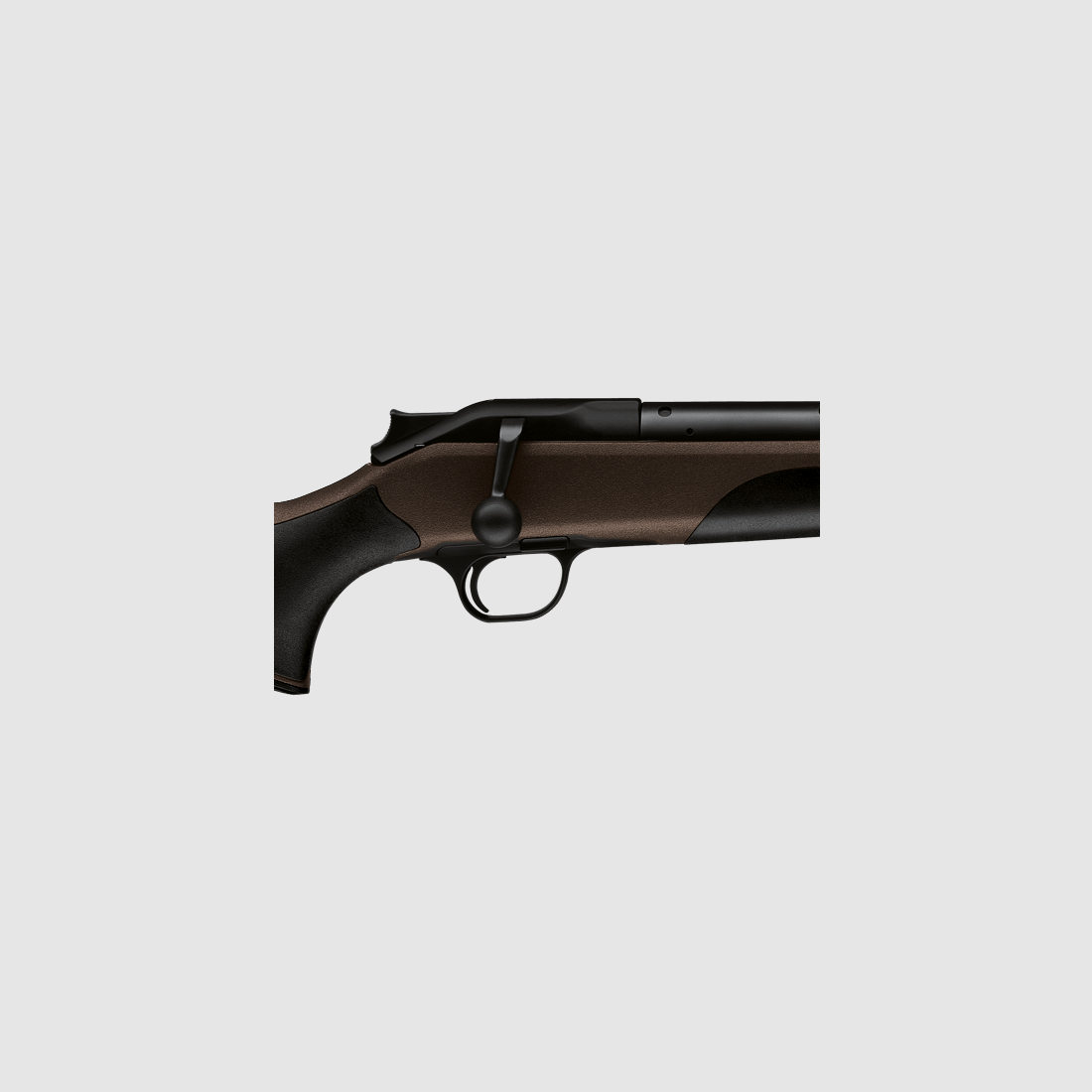 Blaser R8 Professional Nachsuche