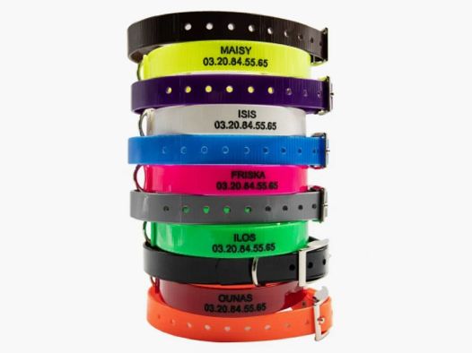 Gravurhalsband BIOGOLD orange für kleine Hunde und Welpen 45 cm