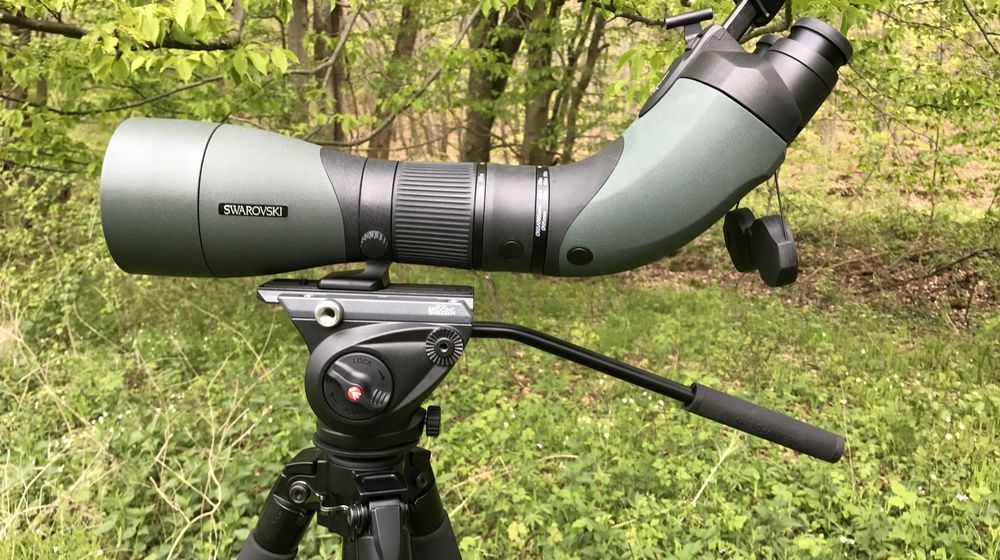 Das BTX von Swarovski - Die perfekte Mischung aus Spektiv und Fernglas