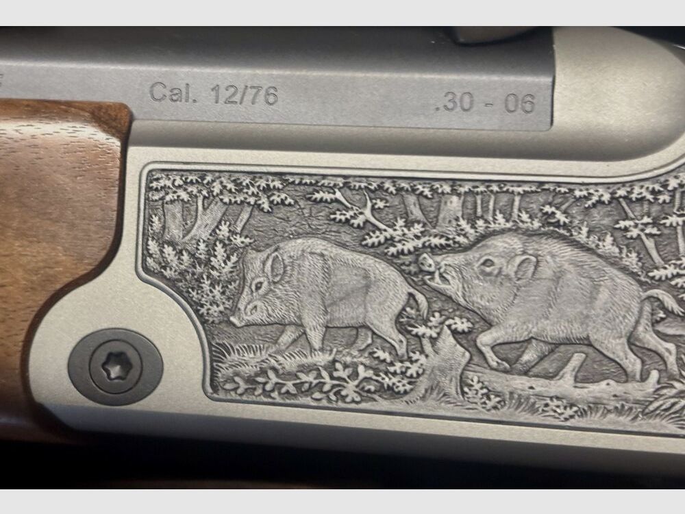 Blaser 95 12/76;.30-06Spring