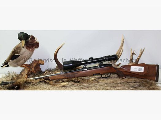 Steyr Mannlicher M mit Schmidt & Bender 2,5 - 10 x 56 7x64