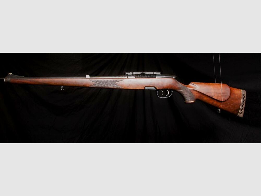 Steyr Mannlicher Stutzen M mit Dentler Montage