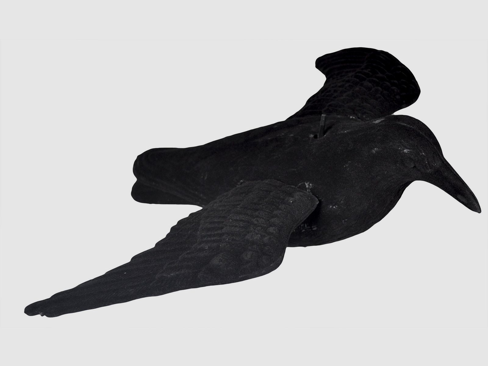 Flocked, flying decoy crow