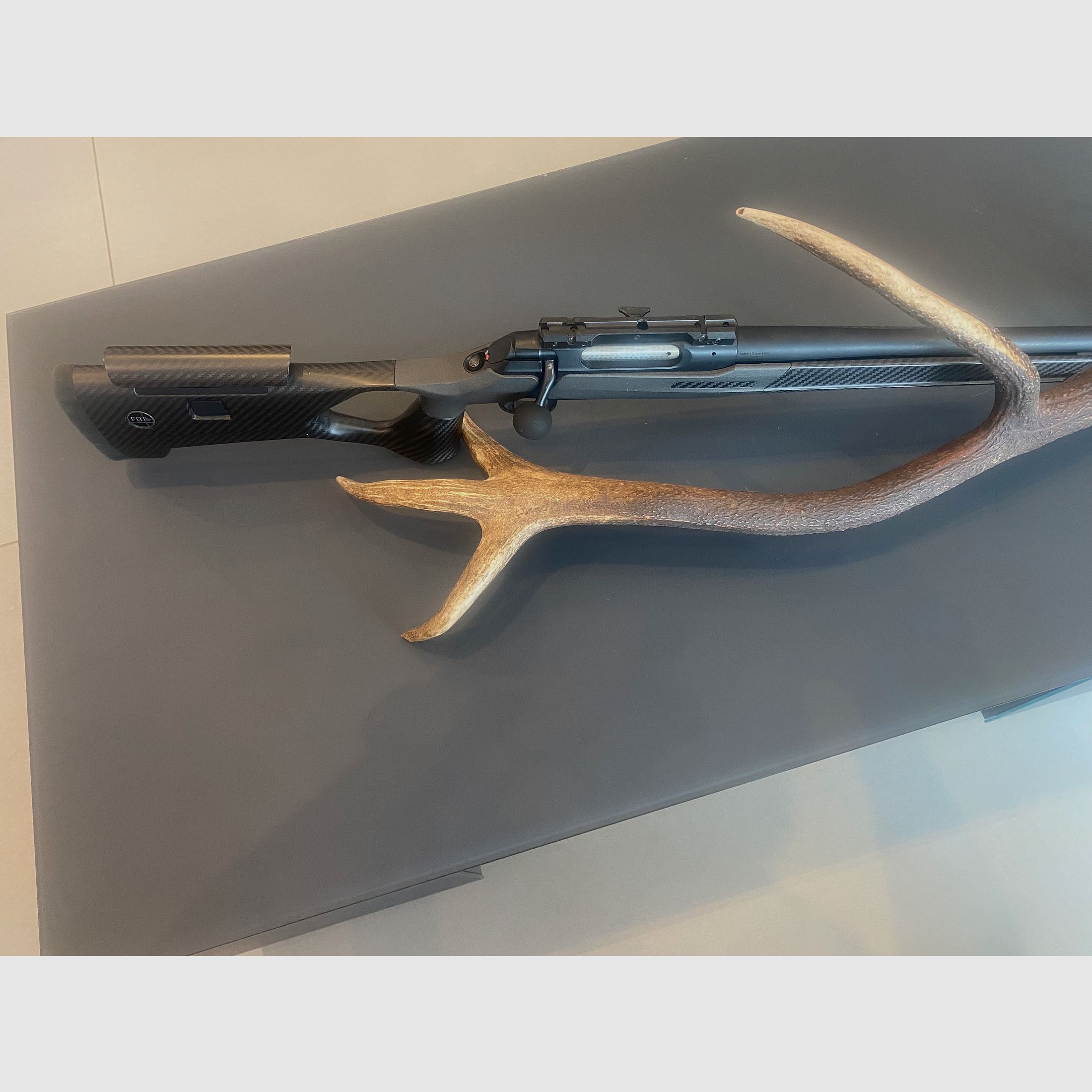 Sauer 202 carbon stock caliber 308