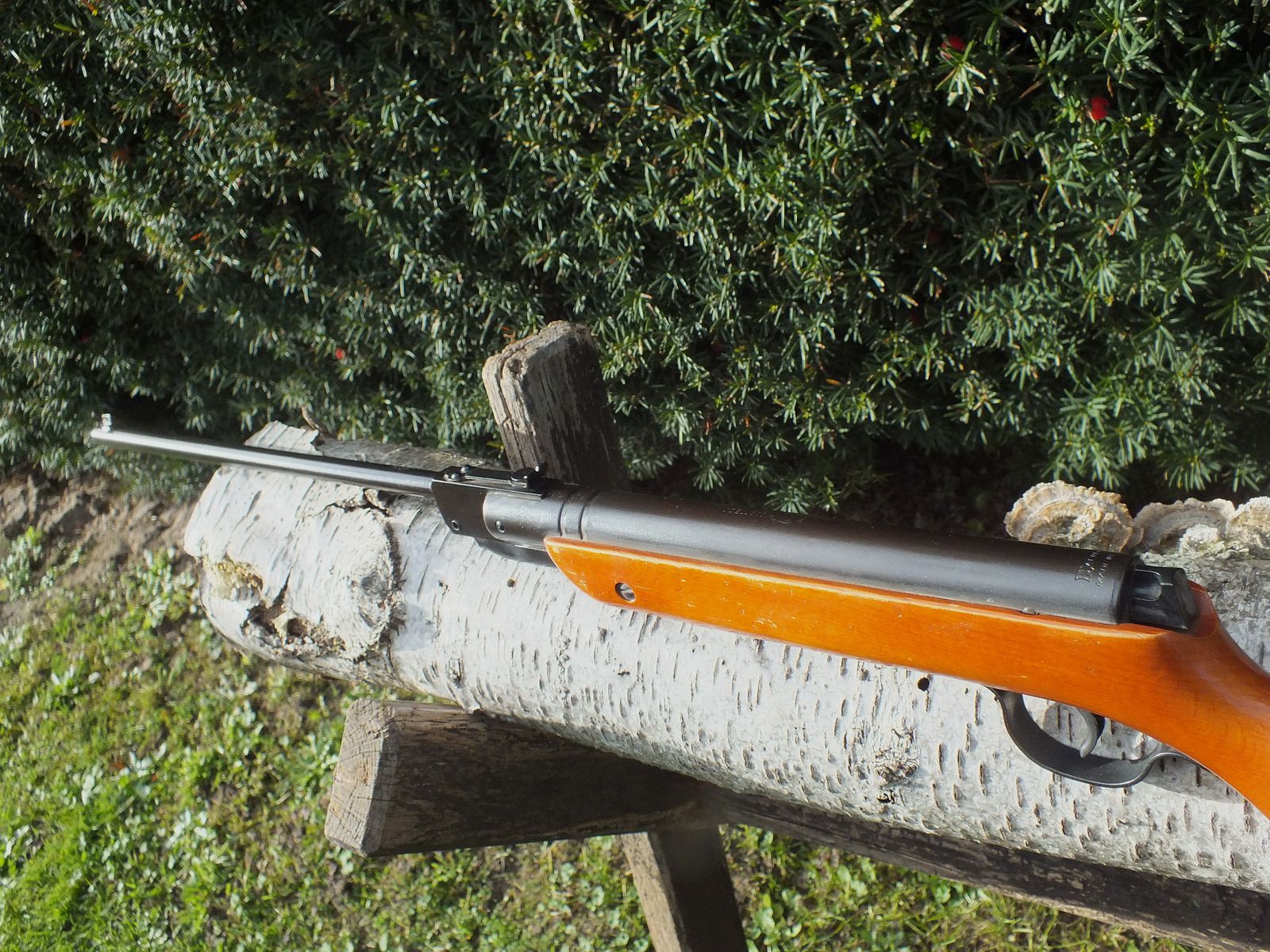 Haenel 300, le pionnier pliant de Suhl !