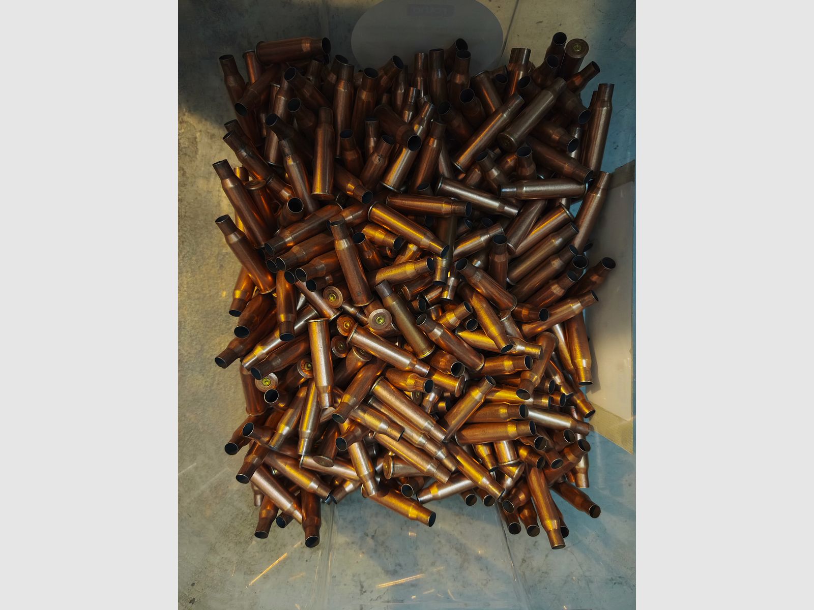 Patronenhülsen - Messing - 9mm Luger, .223 Rem - poliert, einmal verschossen