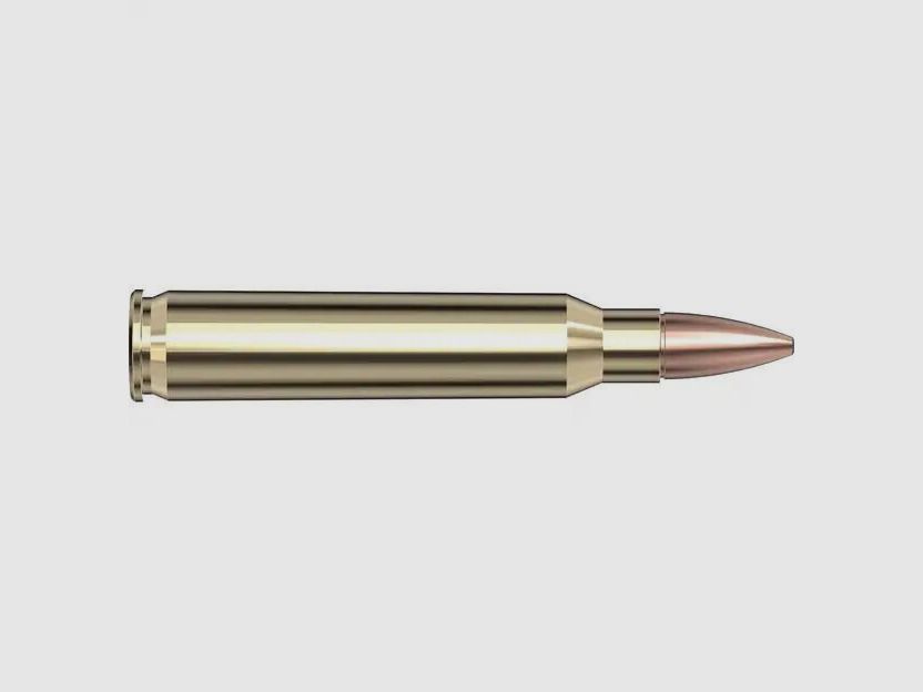 Hornady 55grs Frontier FMJ 20SZT