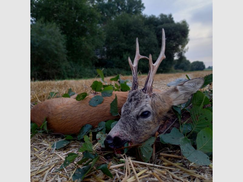 Jahreseminar mit "Jagd und Waidwerk durch die Jahreszeiten" für Jungjägerinnen und Jungjäger