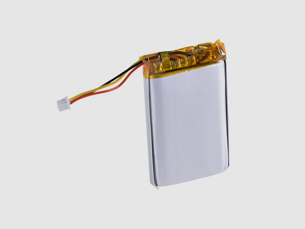 BATTERIA PER PALMARE E COLLARE SATELLITARI DOG TRACE