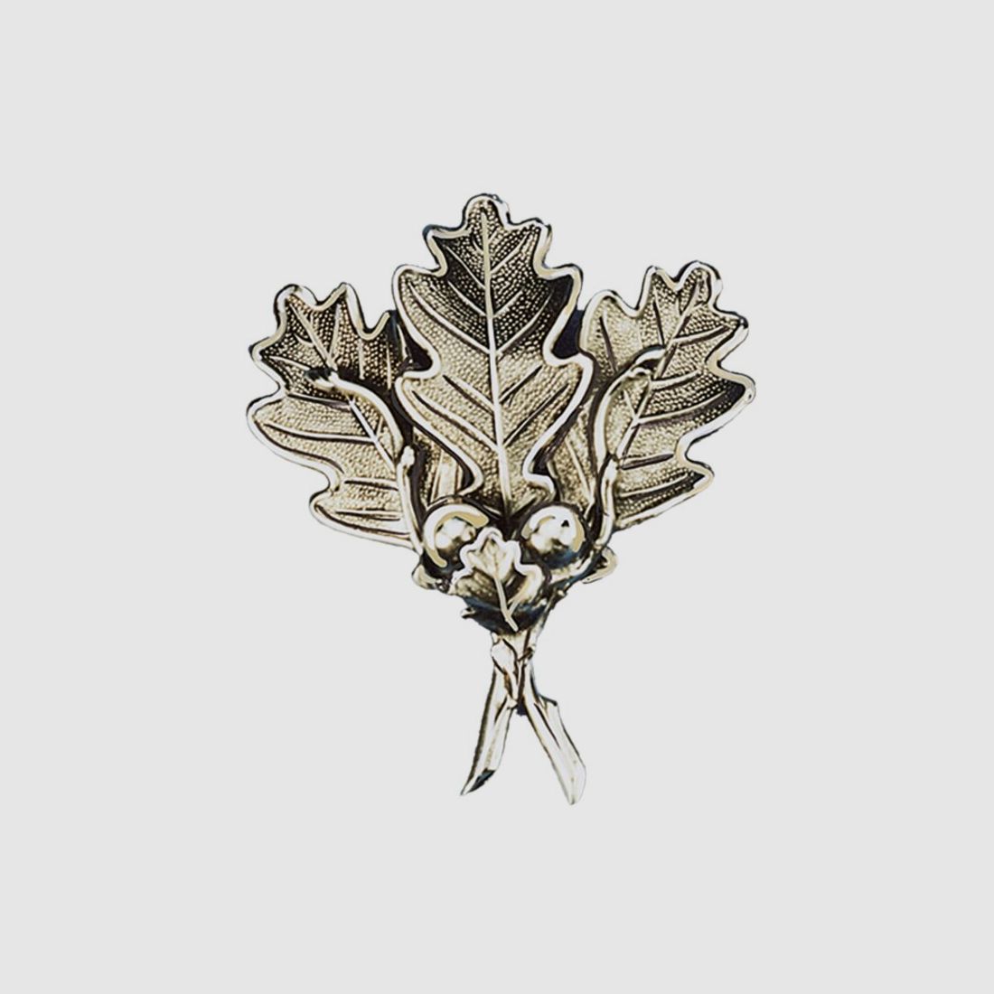 Schweres massives Keilerwaffendeckblatt