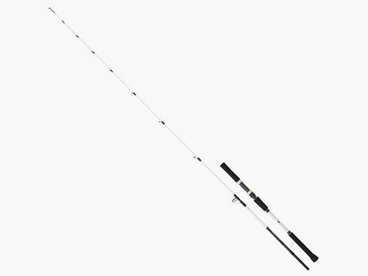 DAIWA ROD SALTIST BJ 69 S OS
