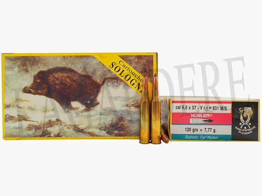 SOLOGNE NOSLER 7,77G (PATRONE MIT GESCHOSS)