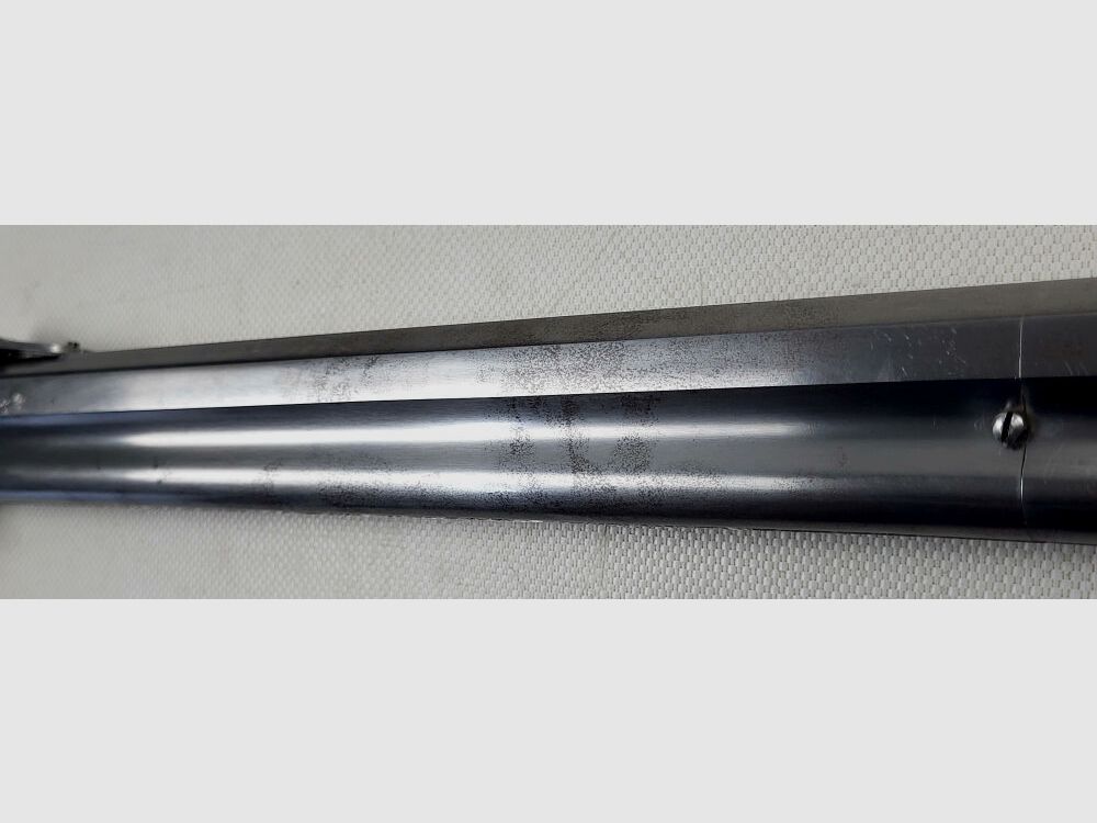 Hege Henry Rifle 1860 een van duizend