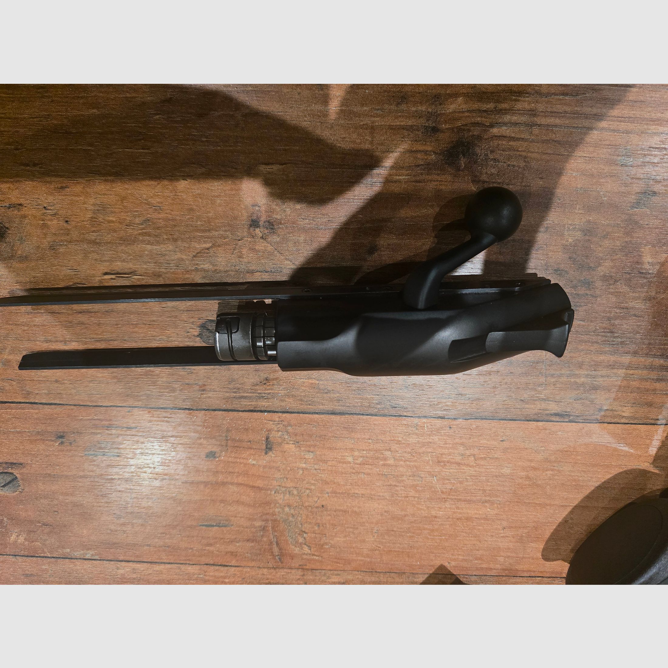 Blaser R8 Professional Success 