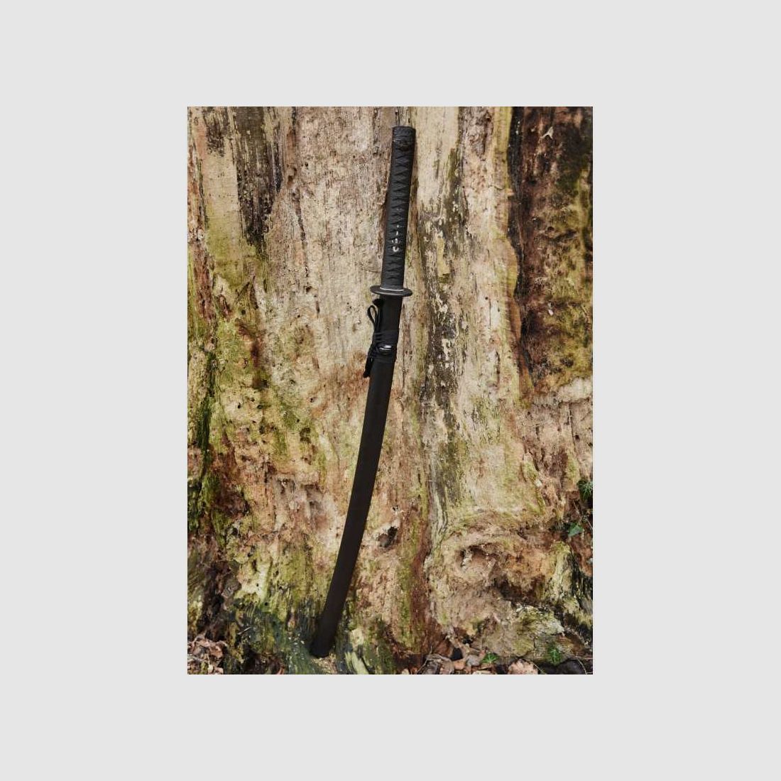 Dragon King Night Owl Katana Schwert