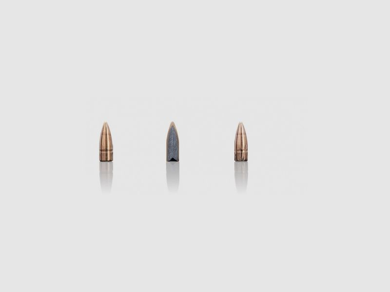 Amunicja kulowa myśliwska SAKO SPEEDHEAD 8G kal. 308 Win (120A)